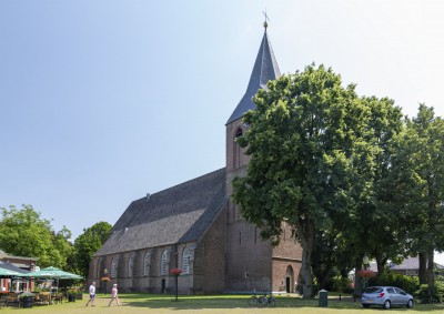 50-1.jpg