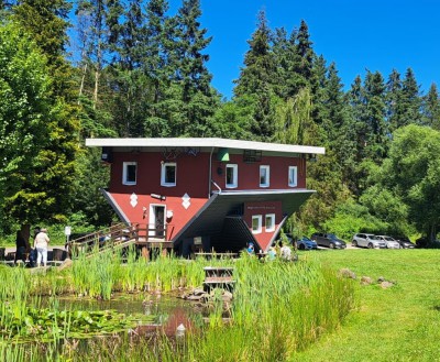 3-Huis op de kop.jpg